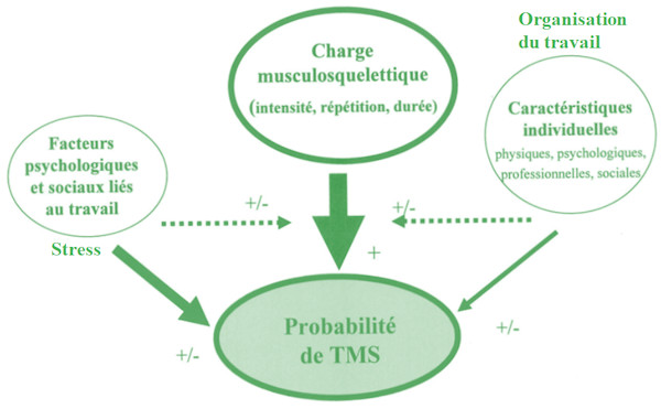 modèle explicatif des TMS - charge physique / biomécanique - facteurs psychosociaux - caractéristiques personnelles