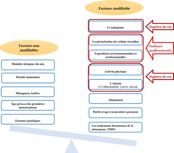 schéma balance des facteurs modifiable et non modifiable du cancer du sein. (Frikha et Chlif 2021)